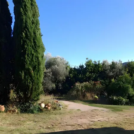 I Cipressi